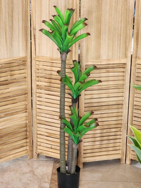 شجر أخضر أفرع /3