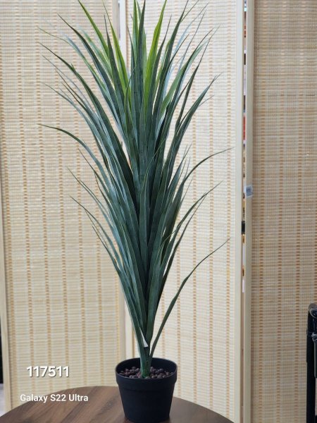 شجر أخضر ورق رفيع