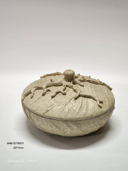 مضيفة حجر مع غطاء 22*11سم