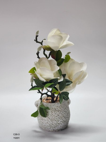 باقة ورد نوار ابيض قوار حجر 35سم