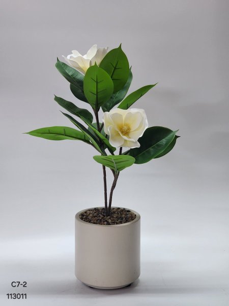 باقة ورد زنبق قوار بلاستيك مقوى 55سم