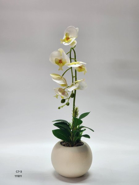 باقة ورد اوركيد قوار بلاستيك مقوى 45سم