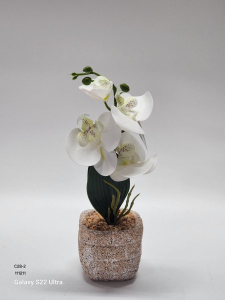 باقة ورد اوركيد قوار حجر 30سم