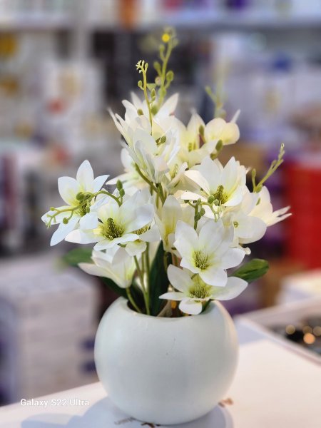 مزهرية ورد قوار بلاستيك مقوى