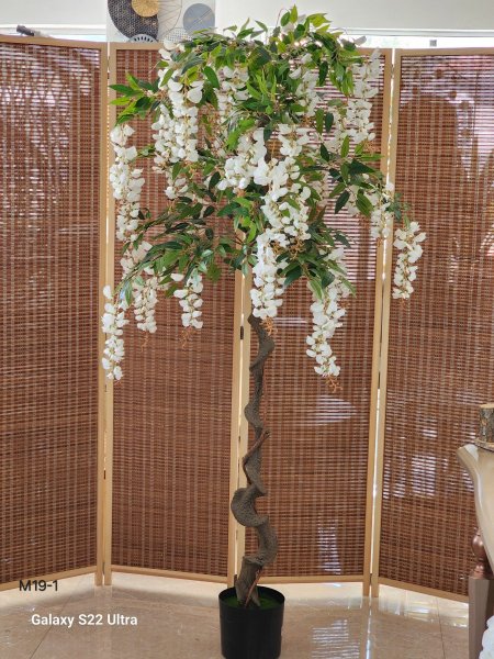 شجر أخضر شلال ورد نوار ابيض