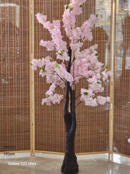 شجر نوار زهري 170سم