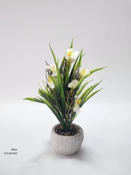 باقة ورد نوار قوار حجر 30سم