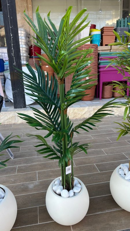 شجر نخل أفرع مع قوار بلاستيك مقوى