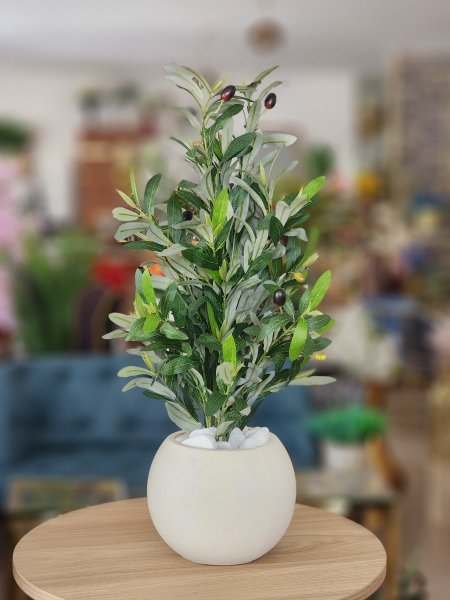 مزهرية عروق زيتون 75cm