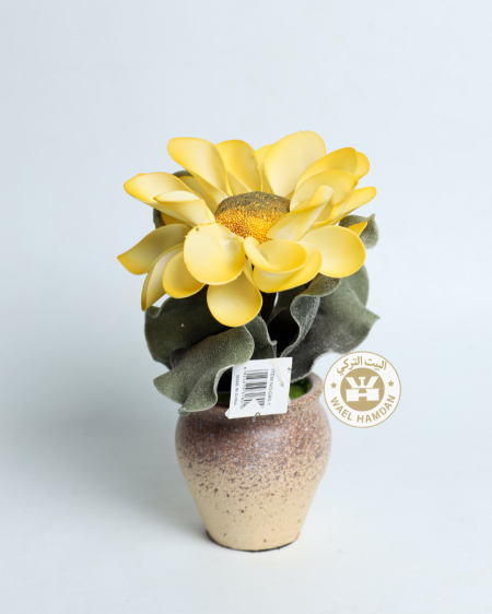 قوارة مع وردة