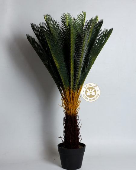 شجرة نخيل زينة