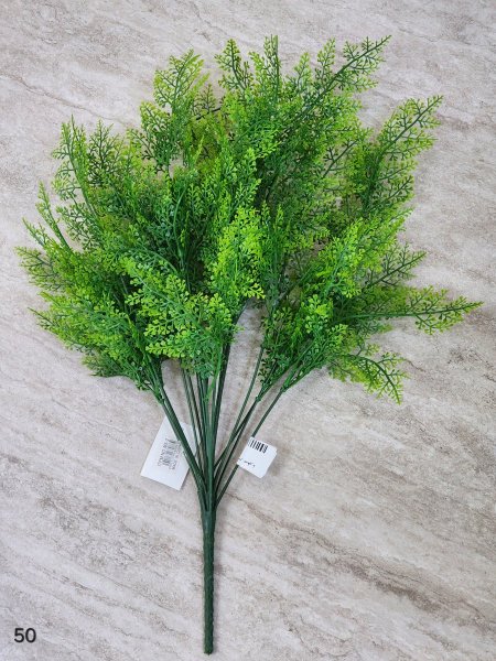 عرق أخضر 50cm