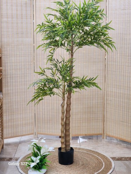 شجر بامبو ساق طويل 170cm