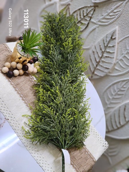 عرق سرو أخضر