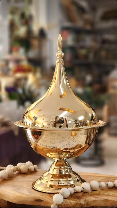 مضيفة بيوتر مع غطاء