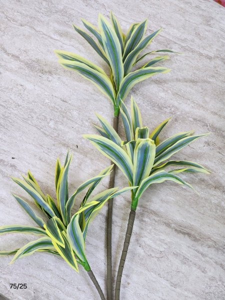 عرق أخضر 75cm