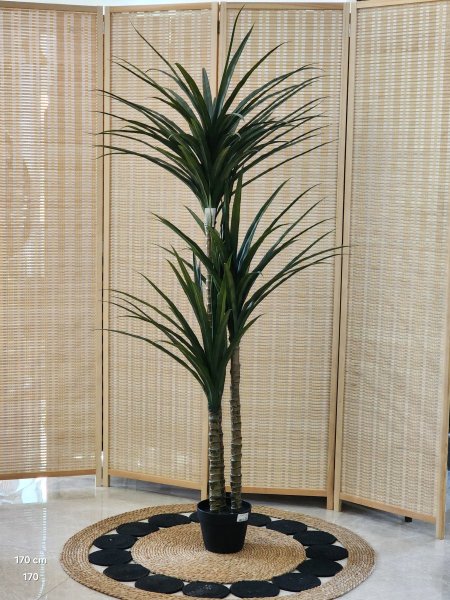 شجر أخضر أفرع 170سم