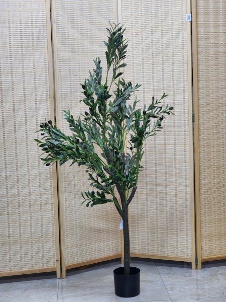 شجر زيتون 140cm