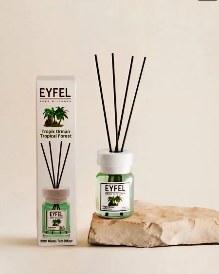 غابات استوائية