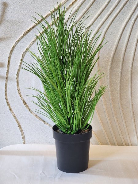 شجر أخضر قصير