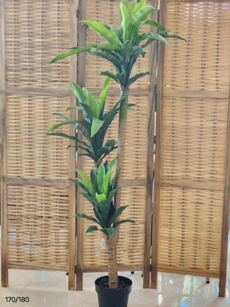 شجر أخضر 170cm