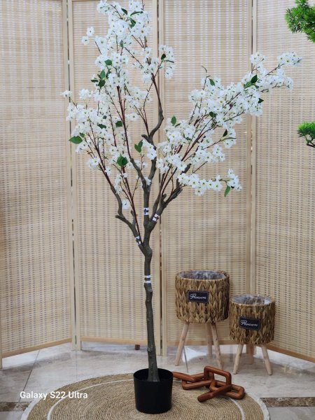 شجر نوار  180cm