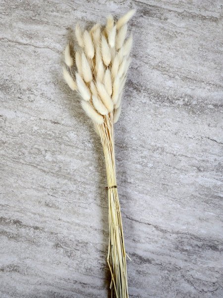 ضمة ورد منشف