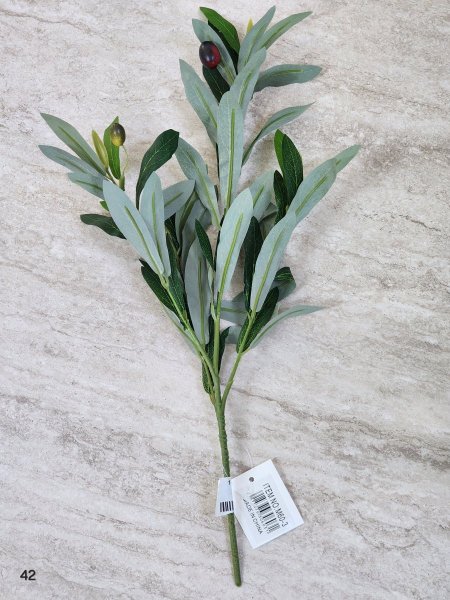 عرق زيتون40cm