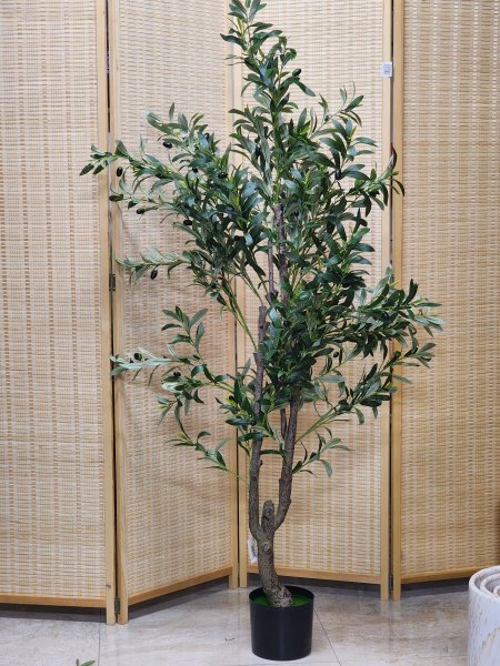 شجر زيتون 160cm