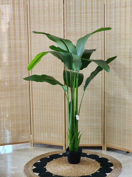 شجر أخضر أوراق موز 160 سم