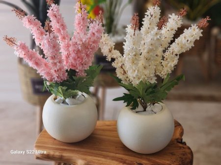 مزهرية ورد نوار