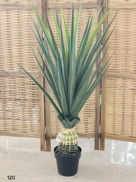 شجر أخضر الوفيرا 120cm