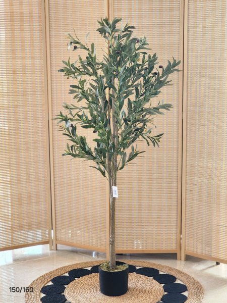 شجر زيتون 150cm