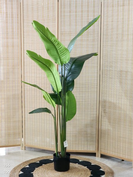 شجر أخضر أوراق موز 155سم