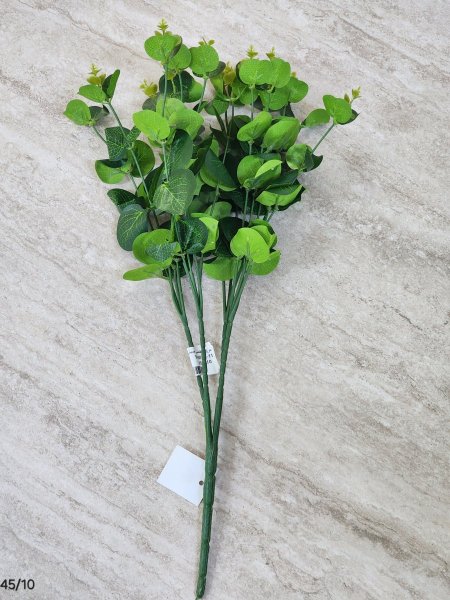 عرق أخضر 45cm