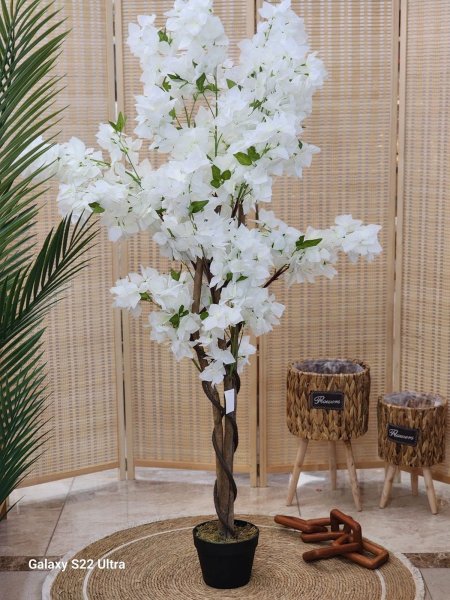 شجرة نوار 150cm