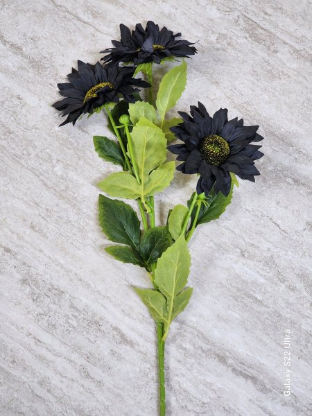 عرق ورد دوار الشمس